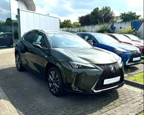 Used LEXUS UX Petrol 2022 Ad 