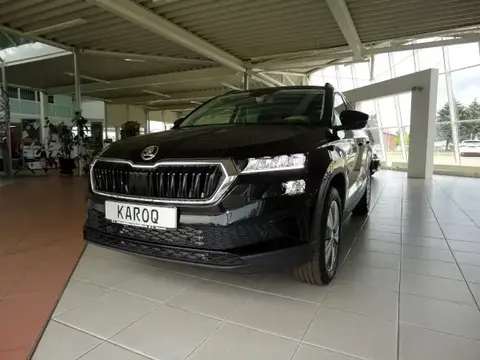 Used SKODA KAROQ Petrol 2024 Ad 