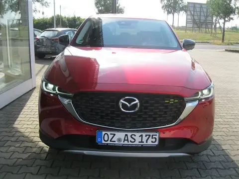 Annonce MAZDA CX-5 Essence 2024 d'occasion 