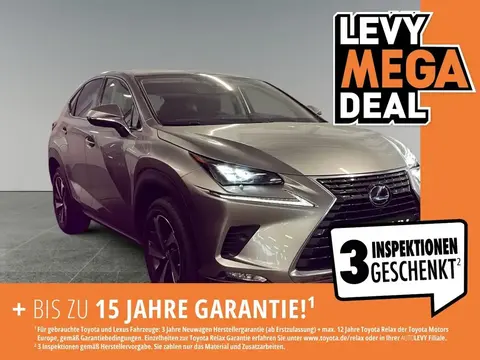 Used LEXUS NX Hybrid 2021 Ad 