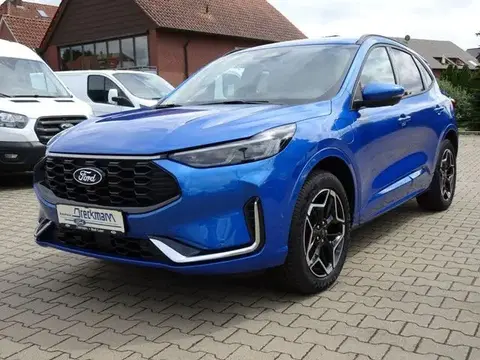 Annonce FORD KUGA Hybride 2024 d'occasion 