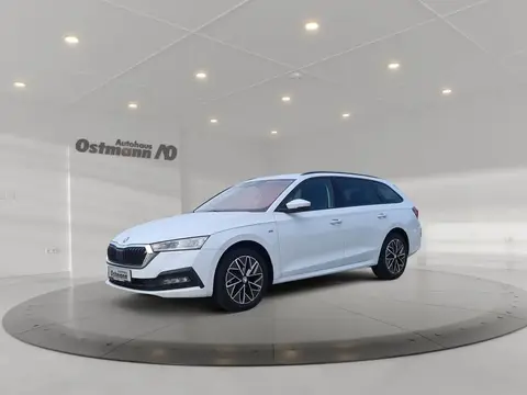 Annonce SKODA OCTAVIA Diesel 2022 d'occasion 