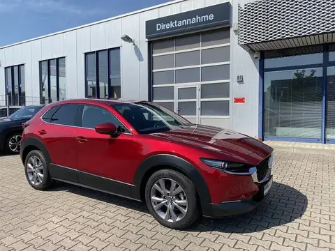 Annonce MAZDA CX-30 Essence 2021 d'occasion 