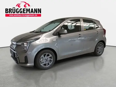 Annonce KIA PICANTO Essence 2024 d'occasion 