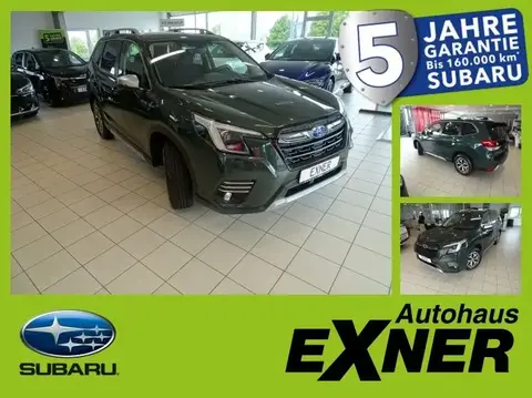 Used SUBARU FORESTER Petrol 2024 Ad 