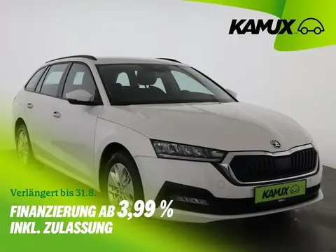 Used SKODA OCTAVIA Petrol 2021 Ad 