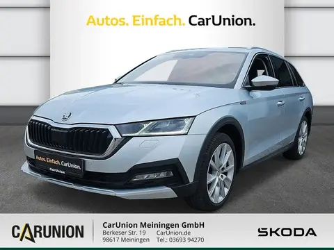 Annonce SKODA OCTAVIA Diesel 2021 d'occasion 