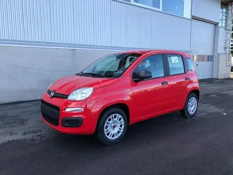 Used FIAT PANDA Petrol 2020 Ad 