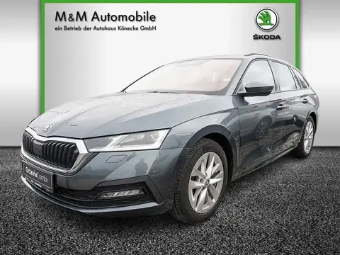 Annonce SKODA OCTAVIA Essence 2021 d'occasion 