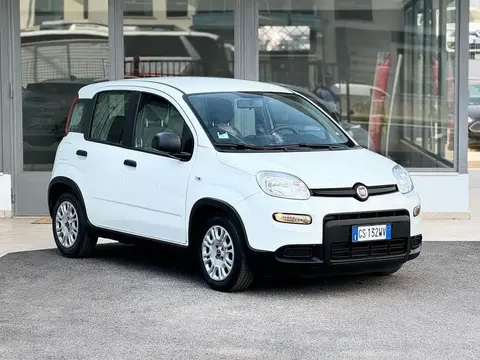 Used FIAT PANDA Hybrid 2024 Ad 