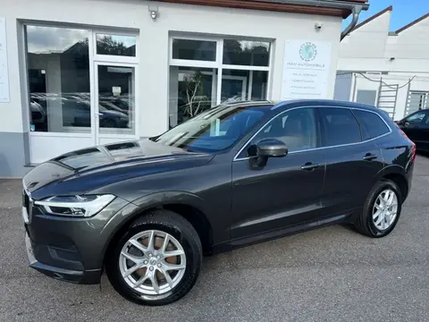 Annonce VOLVO XC60 Diesel 2019 d'occasion 