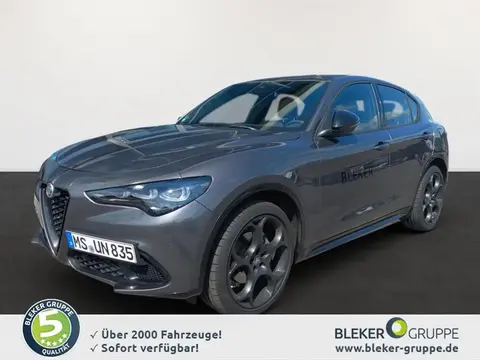 Used ALFA ROMEO STELVIO Diesel 2024 Ad 