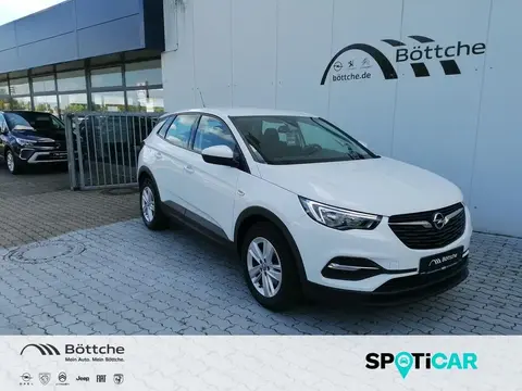 Used OPEL GRANDLAND Petrol 2017 Ad 