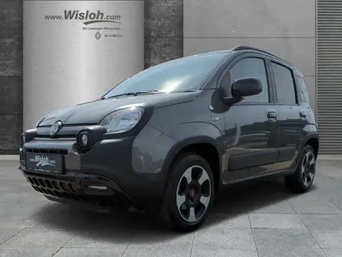 Annonce FIAT PANDA Essence 2019 d'occasion 