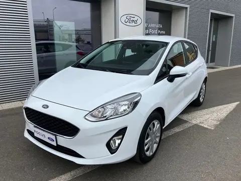 Used FORD FIESTA LPG 2019 Ad 