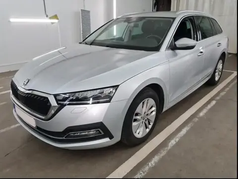 Annonce SKODA OCTAVIA Diesel 2020 d'occasion 