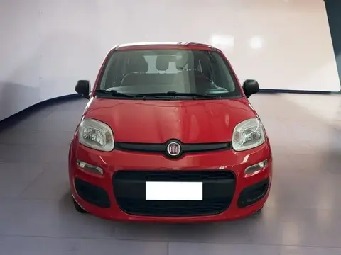 Used FIAT PANDA Hybrid 2021 Ad 