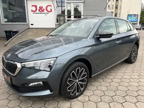 Annonce SKODA SCALA Diesel 2019 d'occasion 