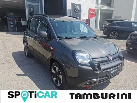 Used FIAT PANDA Hybrid 2023 Ad 