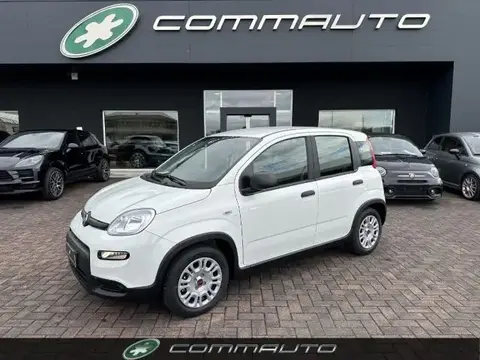 Used FIAT PANDA Hybrid 2023 Ad 