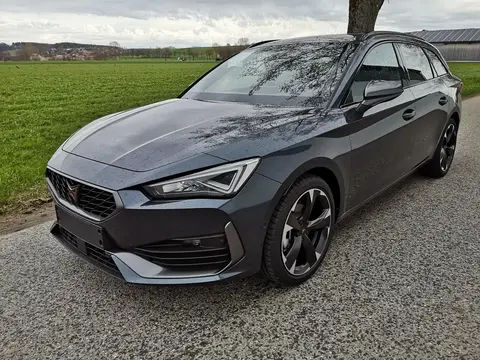 Annonce CUPRA LEON Essence 2024 d'occasion 