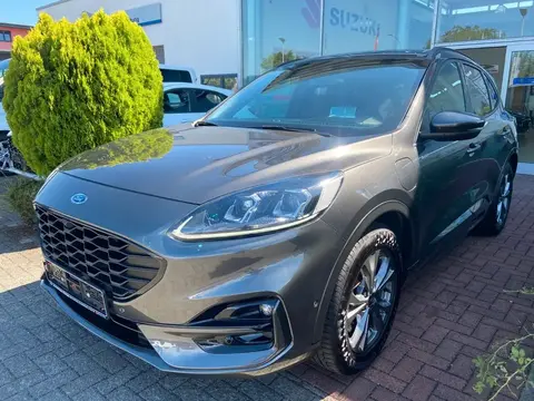 Used FORD KUGA Hybrid 2020 Ad 