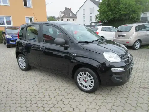 Used FIAT PANDA Petrol 2016 Ad 