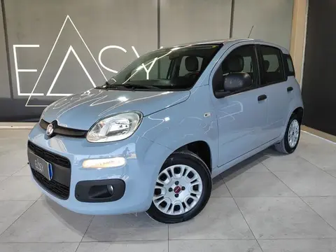 Annonce FIAT PANDA Diesel 2019 d'occasion 