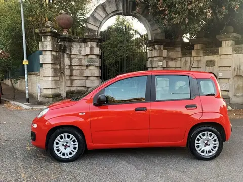 Used FIAT PANDA Hybrid 2021 Ad 