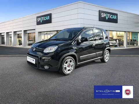 Used FIAT PANDA Petrol 2024 Ad 