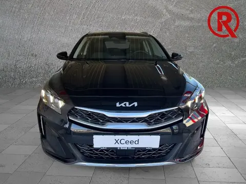 Annonce KIA XCEED Essence 2024 d'occasion 