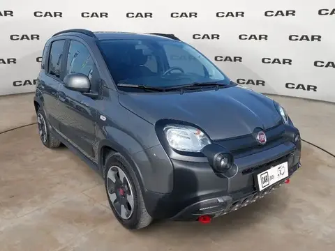 Used FIAT PANDA Hybrid 2023 Ad 