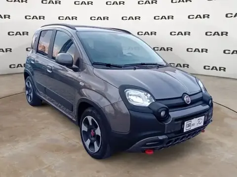 Used FIAT PANDA Hybrid 2023 Ad 