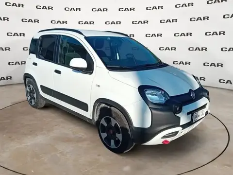 Used FIAT PANDA Hybrid 2023 Ad 