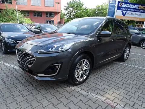 Annonce FORD KUGA Hybride 2021 d'occasion 