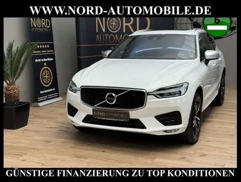 Used VOLVO XC60 Diesel 2019 Ad 