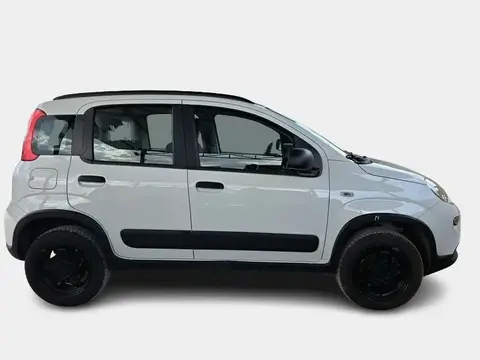 Annonce FIAT PANDA Essence 2021 d'occasion 