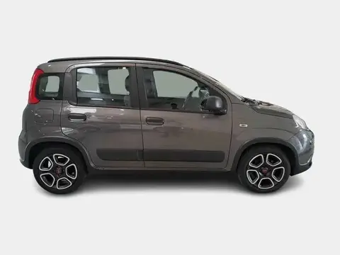 Annonce FIAT PANDA Hybride 2021 d'occasion 