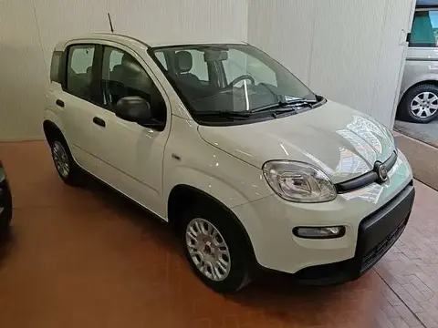 Annonce FIAT PANDA Hybride 2023 d'occasion 