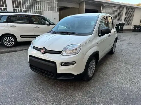 Annonce FIAT PANDA Hybride 2023 d'occasion 