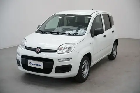 Used FIAT PANDA Hybrid 2021 Ad 