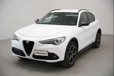 Used ALFA ROMEO STELVIO Diesel 2019 Ad 