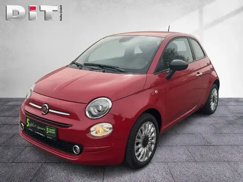 Used FIAT 500 Petrol 2023 Ad 