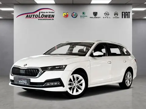 Annonce SKODA OCTAVIA Diesel 2020 d'occasion 