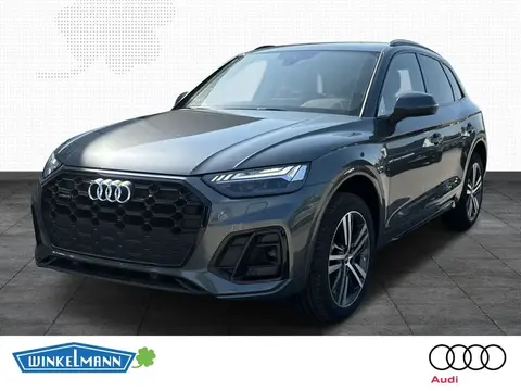 Used AUDI Q5 Diesel 2024 Ad 