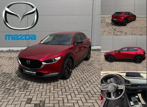 Annonce MAZDA CX-30 Essence 2022 d'occasion 