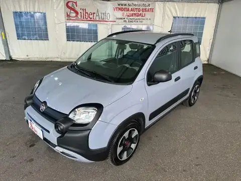 Used FIAT PANDA Hybrid 2021 Ad 