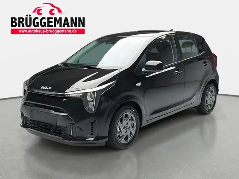 Annonce KIA PICANTO Essence 2024 d'occasion 