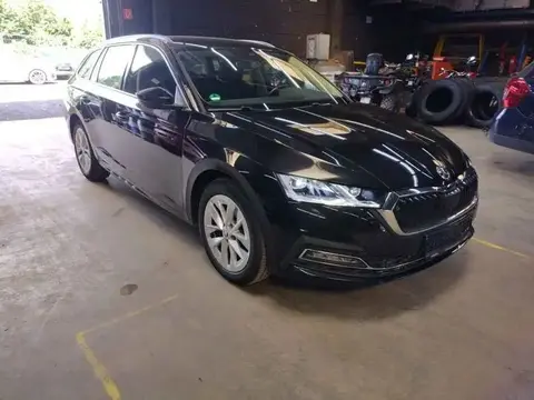 Used SKODA OCTAVIA Petrol 2020 Ad 