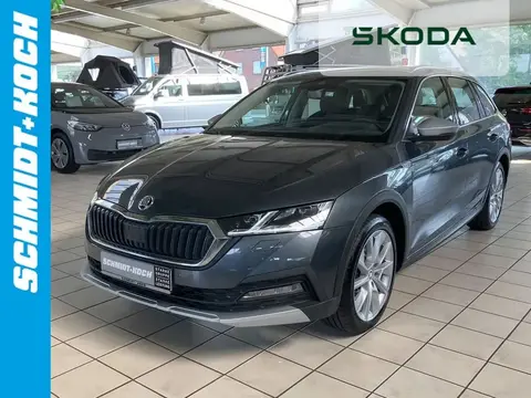 Used SKODA OCTAVIA Diesel 2021 Ad 